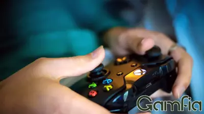 Trading Card Packs and Video Game Loot Boxes: A Closer Look at Gambling Links